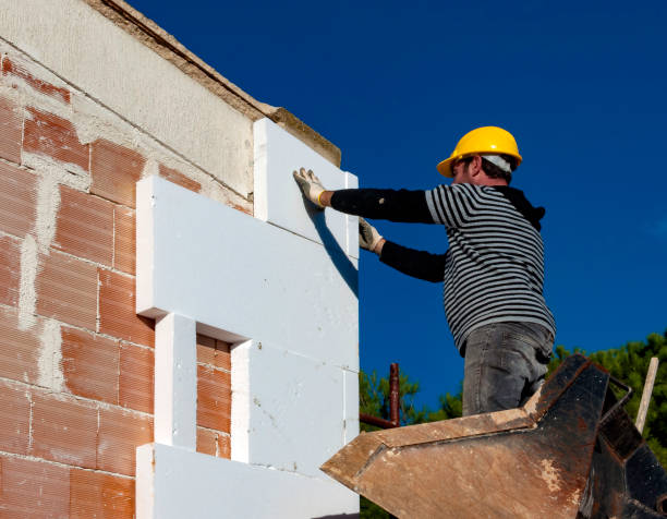 Best Geographic-Specific Insulation Services in Tillmans Corner, AL